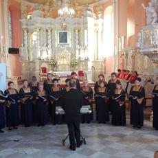 IMG_20171008_140521.jpg