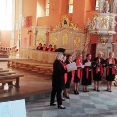 IMG_20171008_142142.jpg